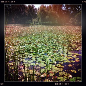 Le Jardin Botanique